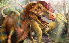 读恐龙灭绝有感范文300字大纲