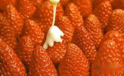 甜草莓的秘密读后感范文7篇