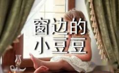 日本小说《窗边的小豆豆》读后感大纲